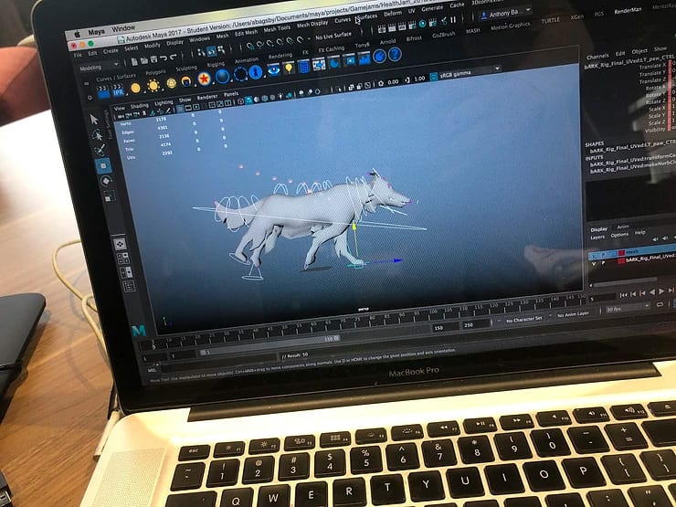 Creating computer animated dog in Maya program